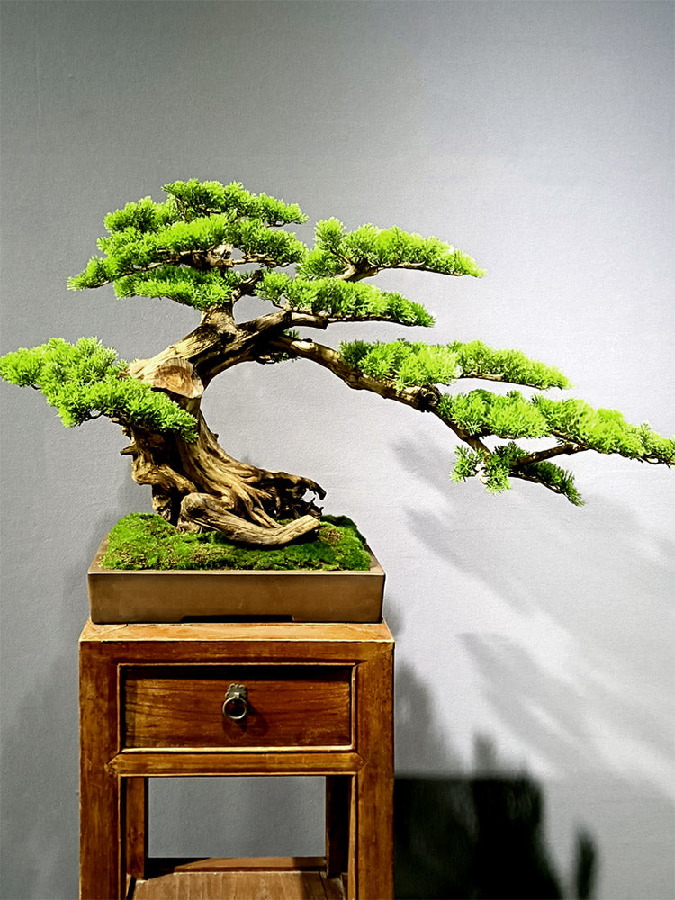 DESKTOP BONSAI ORNAMENTS